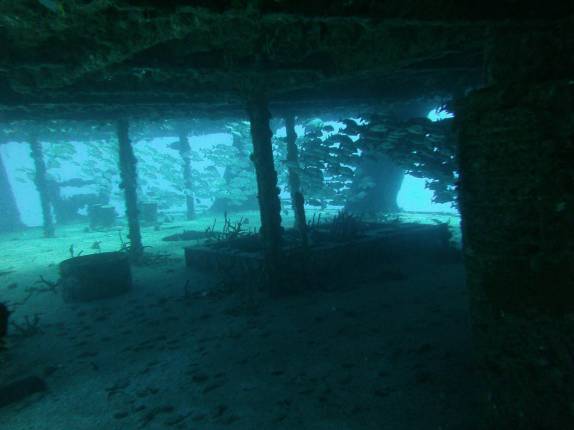Naufrágio repleto de peixes em Isla Mujeres, no litoral do Yucatán, no sul do México